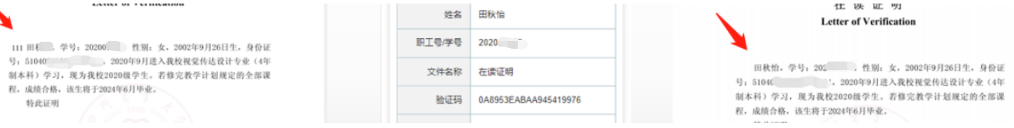 image-20250310190957739