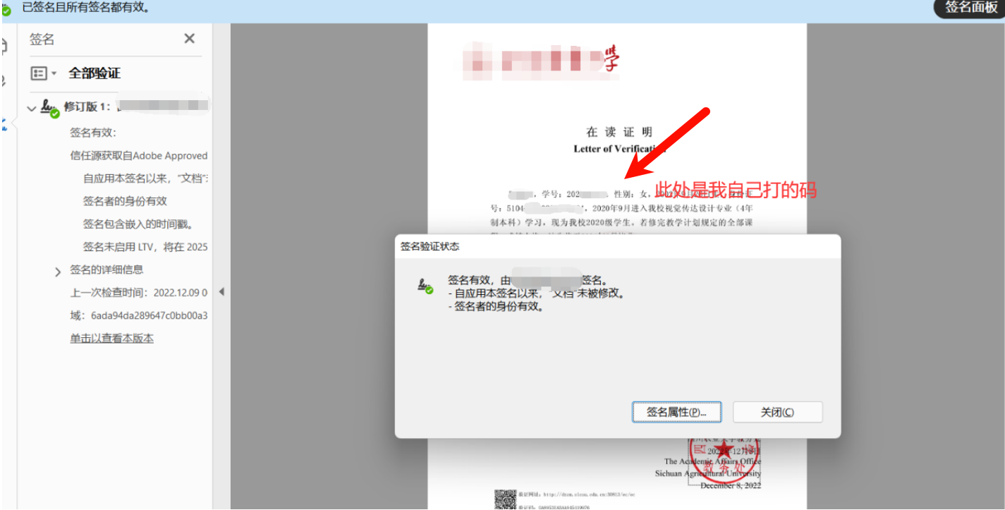 image-20250310191026555